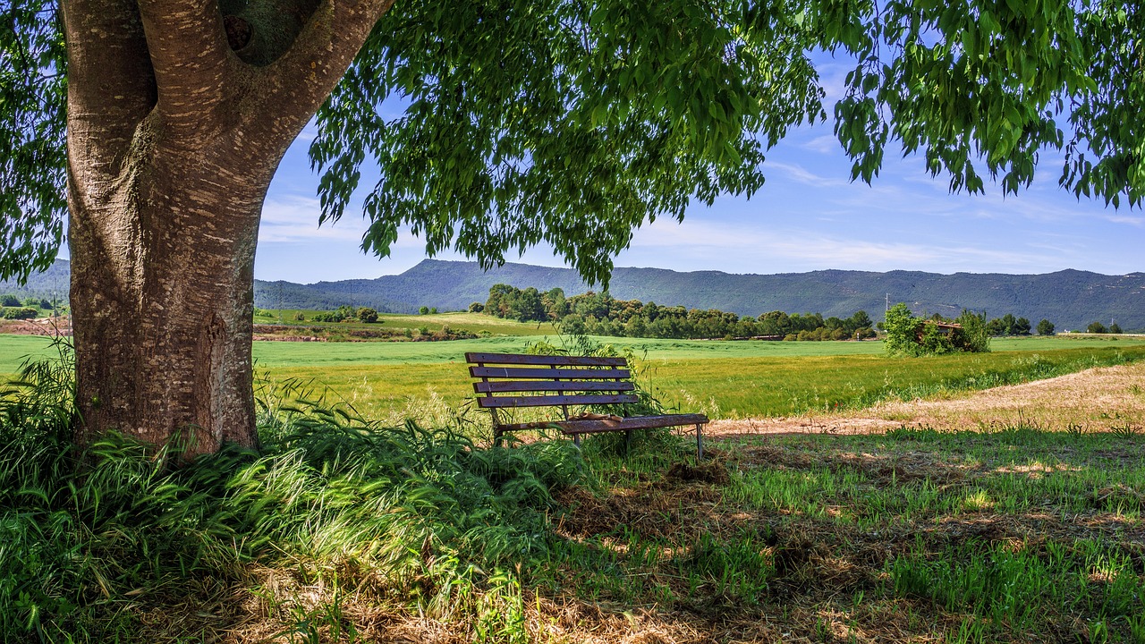 How to Take Captivating Photos of Rural and Countryside Scenes